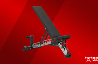 Titan Series Adjustable Bench Review (2024)