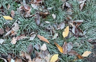 How to Beat the Winter Blues… — Estée Lalonde