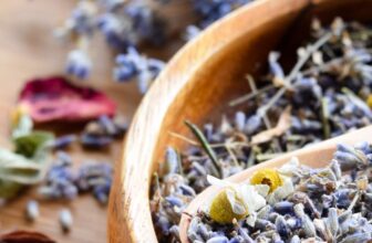 the best herbs for PMS