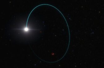 Astronomers Discover Heaviest Stellar Black Hole i...