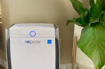 the best air filter for home (Air Doctor Review)