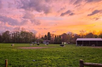 The Little Things Newsletter #467 – Life, la...