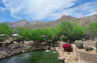 4.3 Friday Faves – The Fitnessista