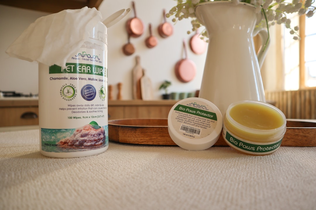 A collection of various pet care products including feeding bowls, grooming tools, and travel accessories arranged aesthetically.